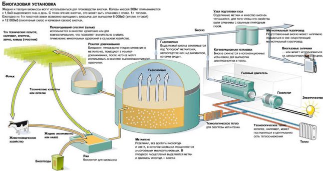 Процесс выработки биогаза