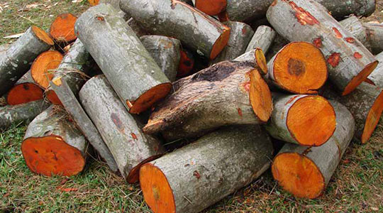 9 причин выбрать ольховые дрова