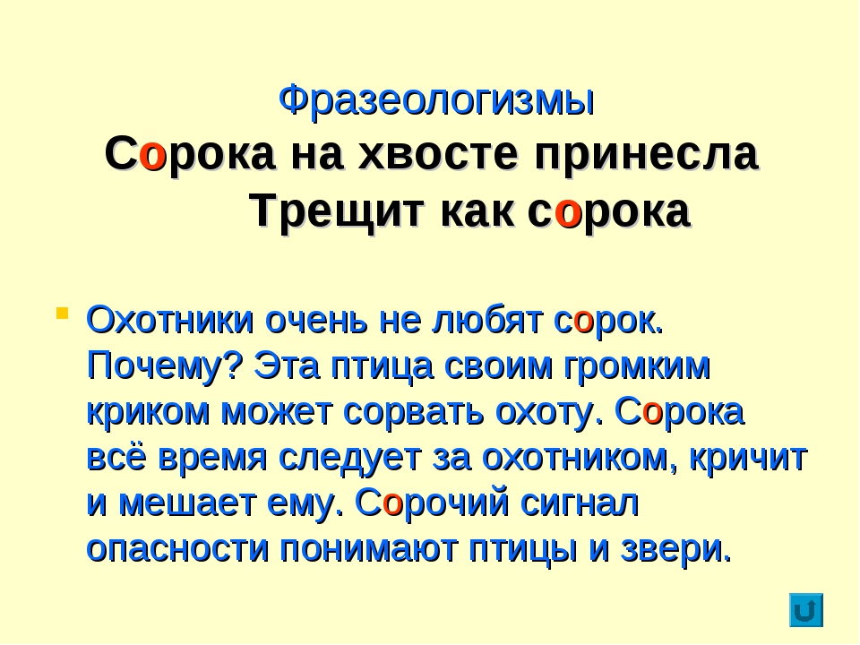 Сорока на хвосте принесла. Сорока на хвосте принесла фразеологизм. Фразеологизмы с названиями птиц. Фразеологизм 40 на хвосте принесла.