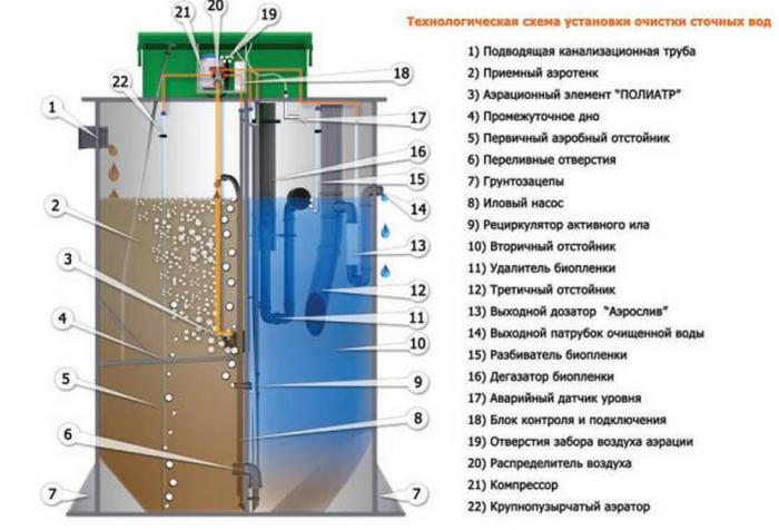 септик евробион