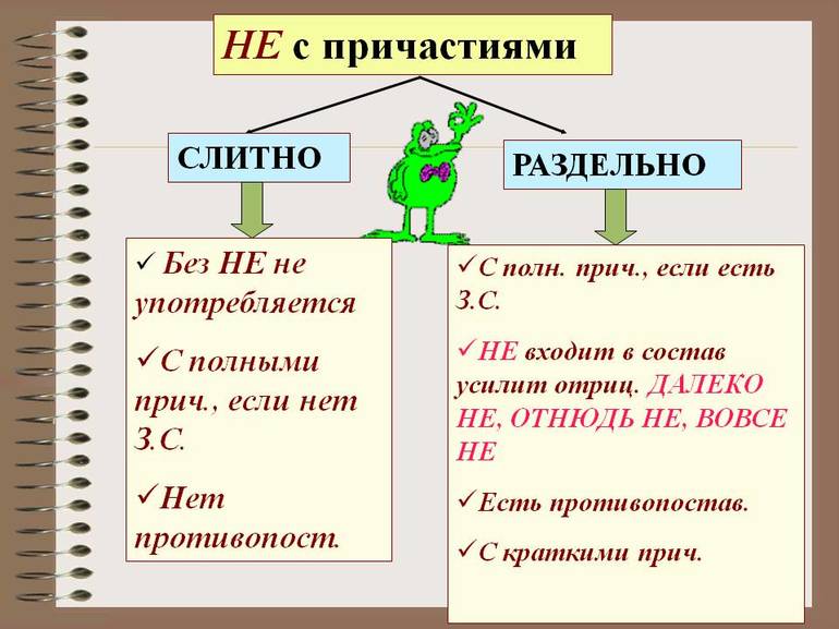 Подробный разбор правописания 