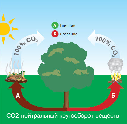 CO2-zikl