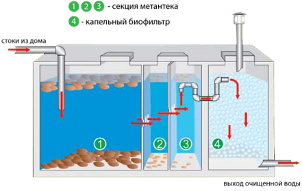 С биофильтром внутри септика