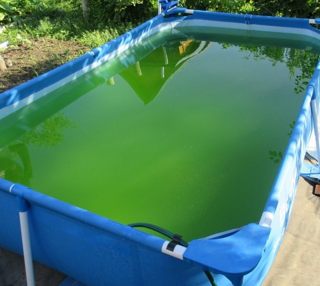 Без очистки вода в бассейне быстро загрязняется, в ней размножаются микроорганизмы, она приобретает зеленый цвет и неприятный запах. Принимать водные процедуры в такой воде и неприятно, и опасно для здоровья человека.