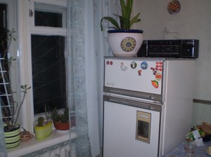 Правильная установка холодильника