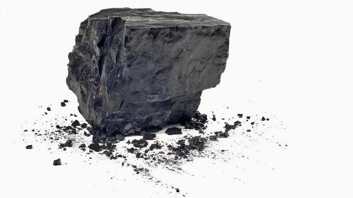 Каменный уголь: образование в недрах земли